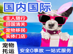 庆阳空运地址国际宠物托运 【国